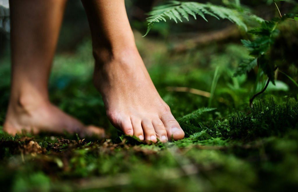 Bare feet of woman standing barefoot outdoors in nature, grounding and forest bathing concept(Image via Getty Images)