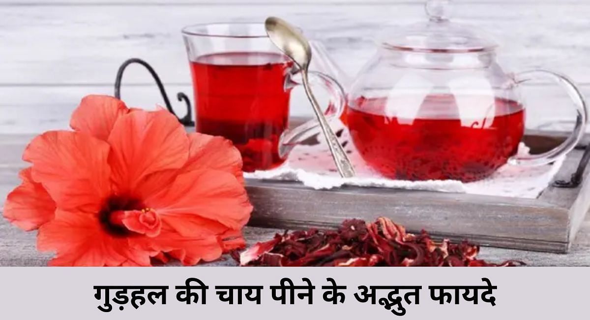 गुड़हल की चाय पीने के अद्भुत फायदे(फोटो-Sportskeeda hindi)