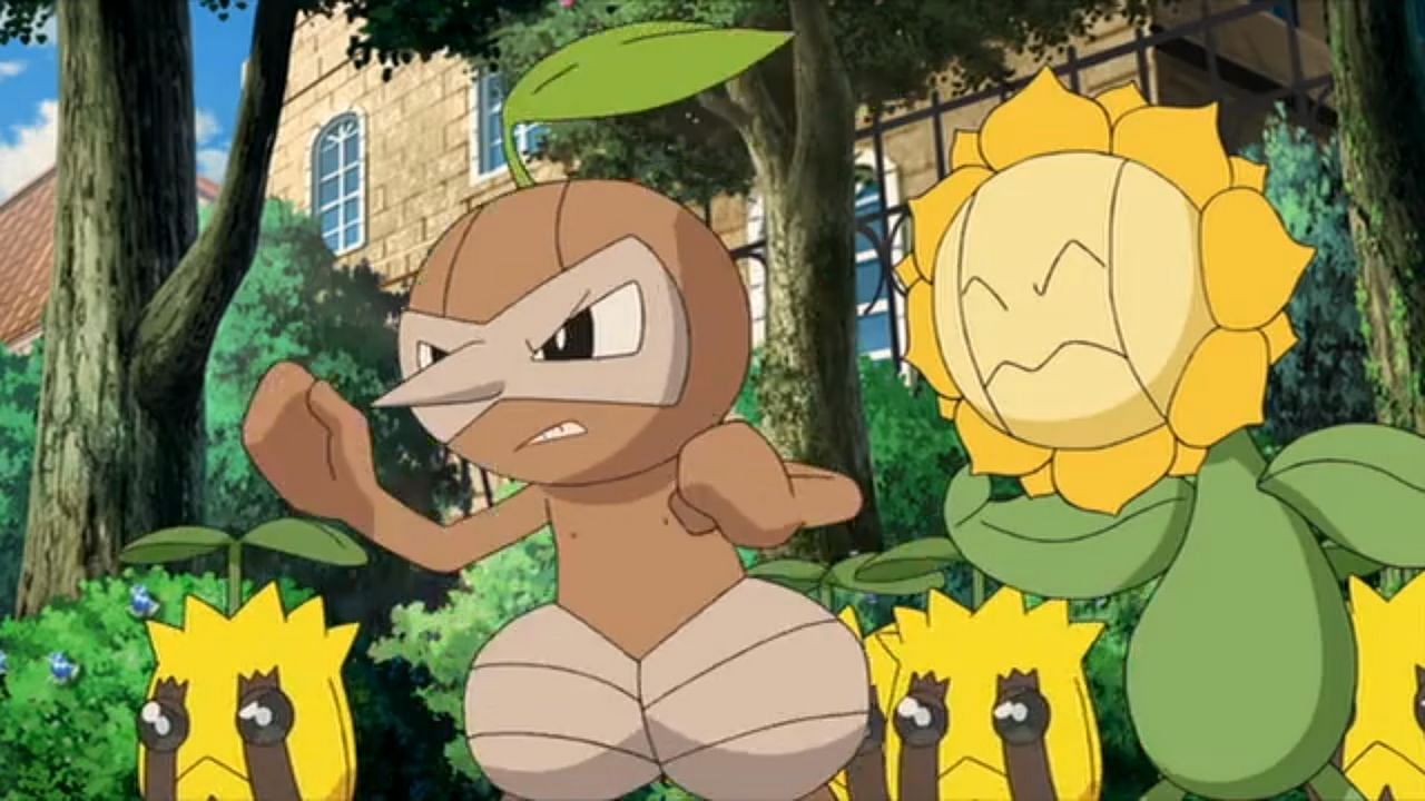 Many Sunkern, as seen in the anime (Image via The Pokemon Company)