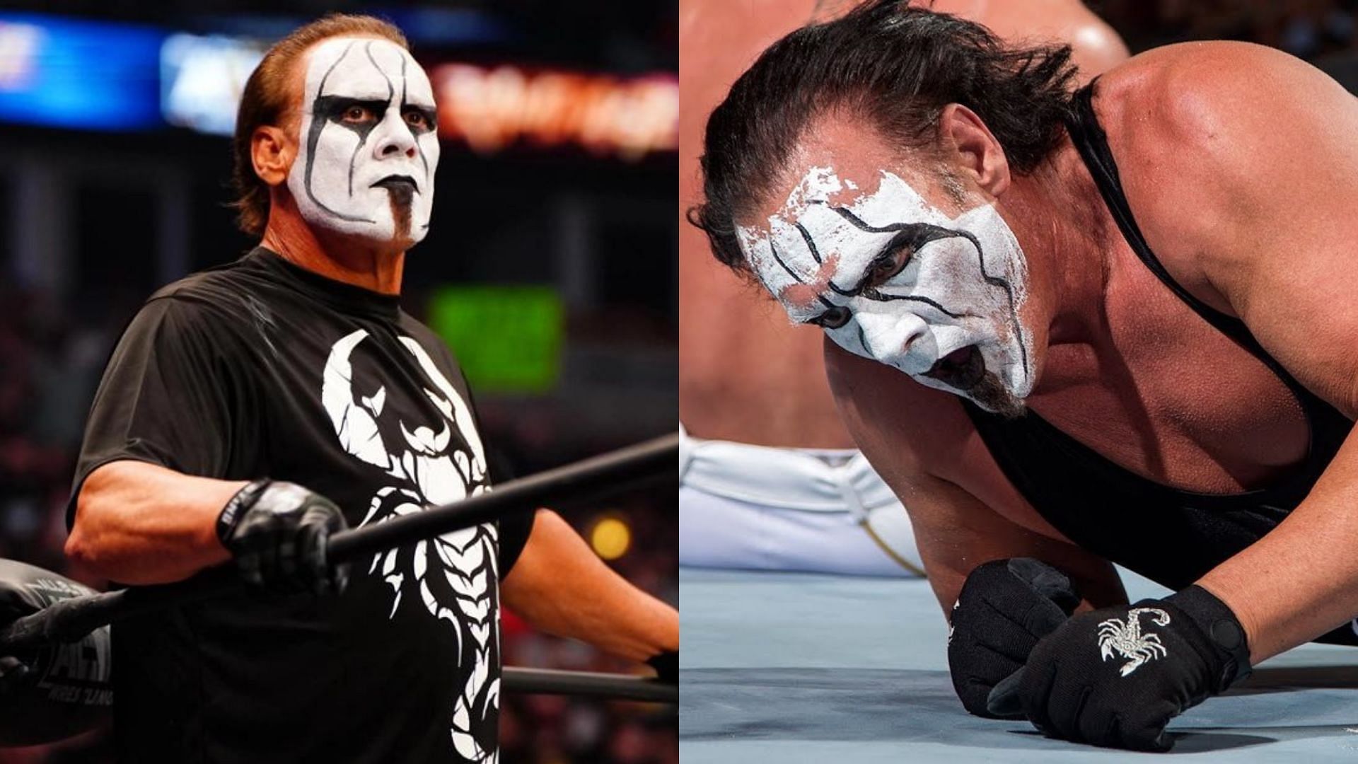 Sting is former WCW is World Champion