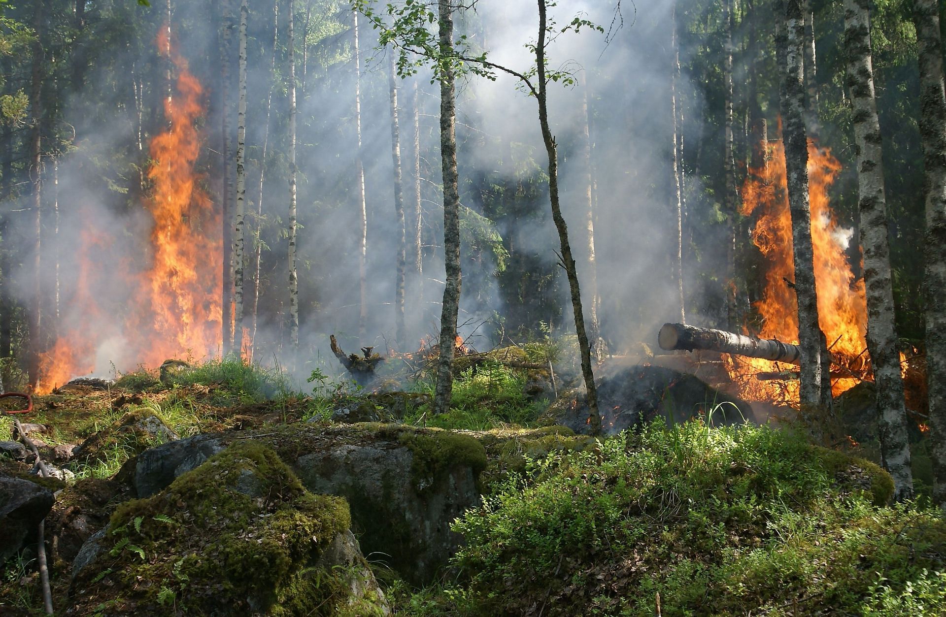 Canadian wildfire is causing problems. (Image via Pexels/ Pixabay)