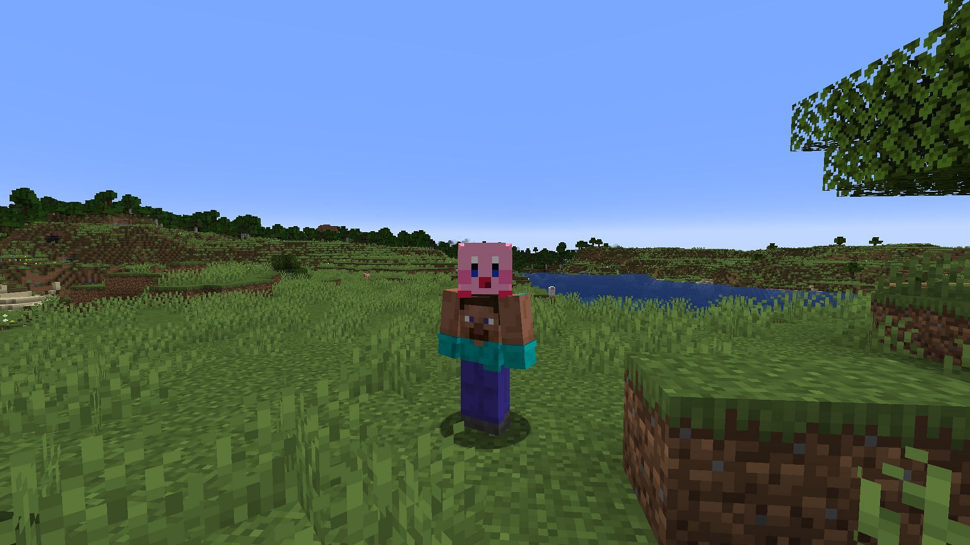 This skin may be a little strange, but Kirby&#039;s presence is always a plus (Image via Mojang)