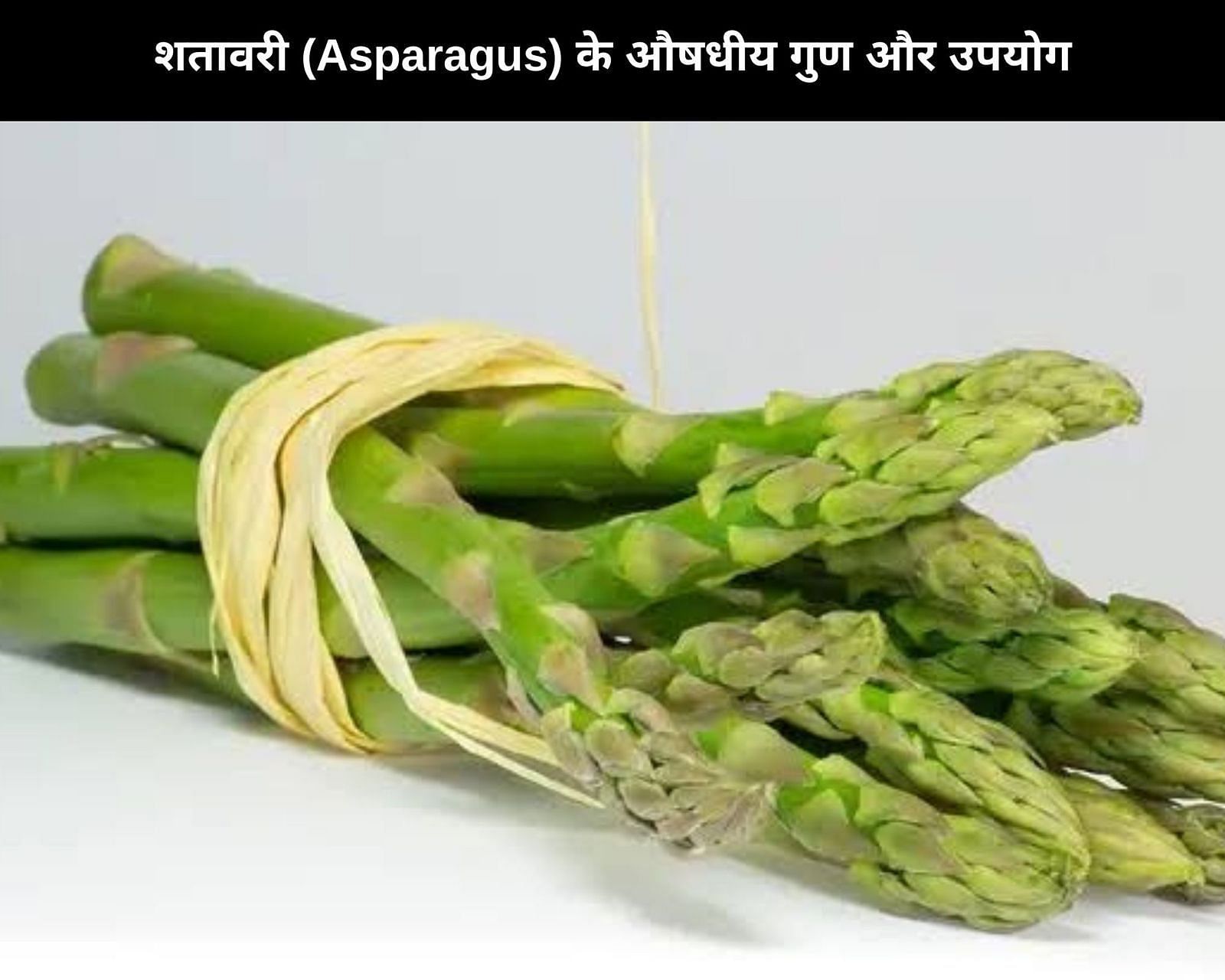 शतावरी (Asparagus) के 10 औषधीय गुण और उपयोग (फोटो - sportskeedaहिन्दी)