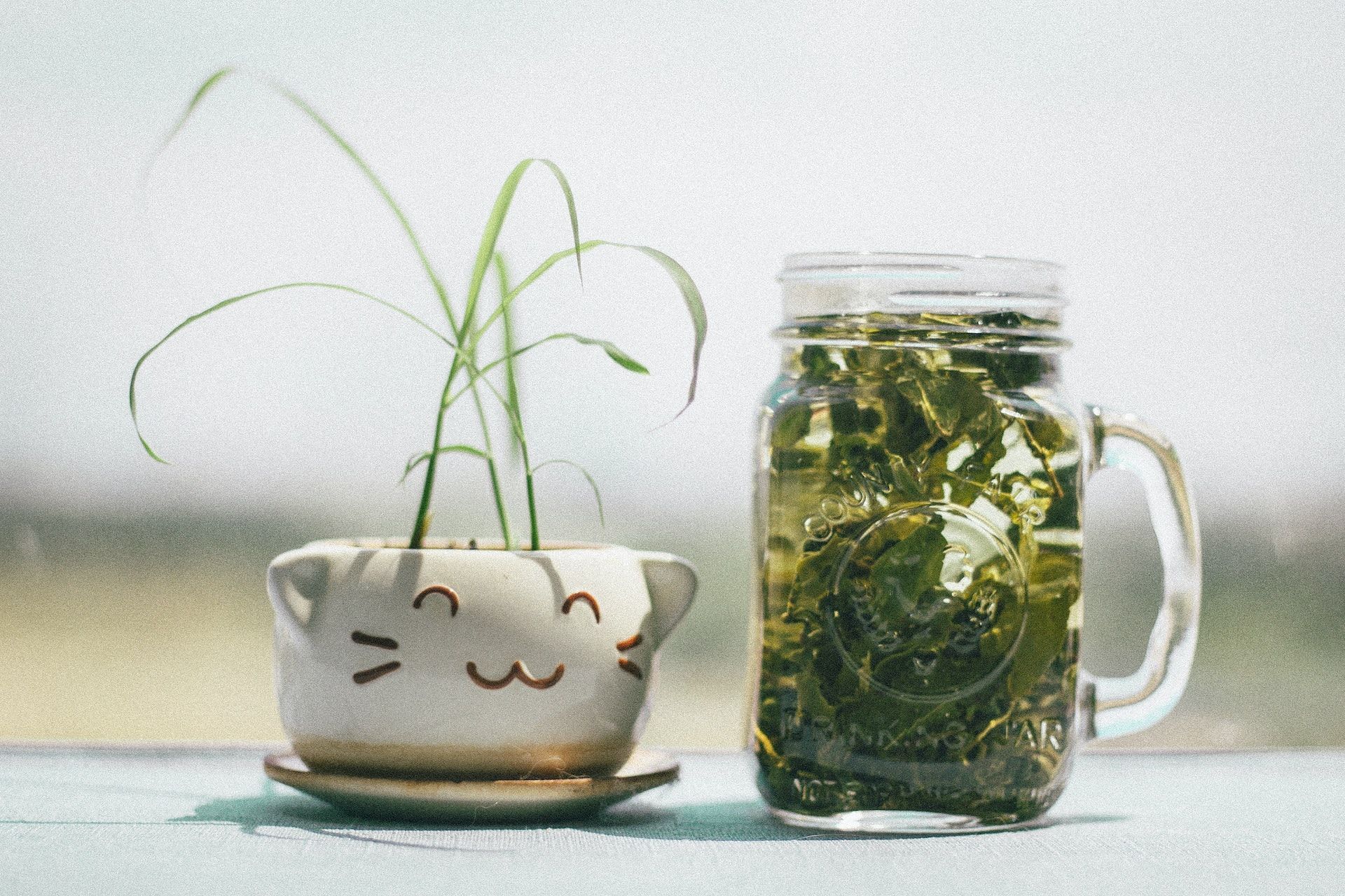 Consume nettle tea in moderation. (Photo via Pexels/Tranmautritam)