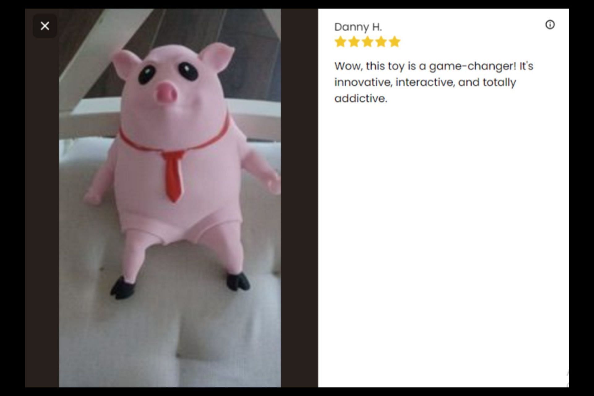 Customers review Porky Splash&#039;s viral Piggy Squeeze Toy. (Image via Porky Splash)