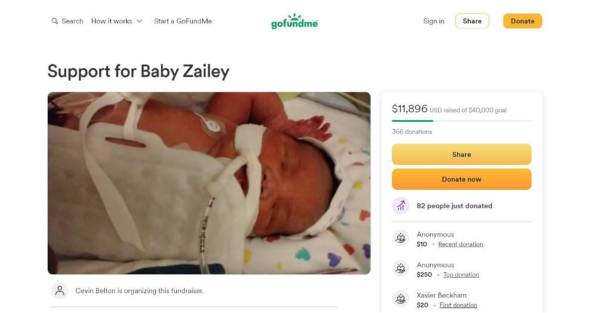 A screenshot of the fundraiser (Image via snip from gofundme.com)