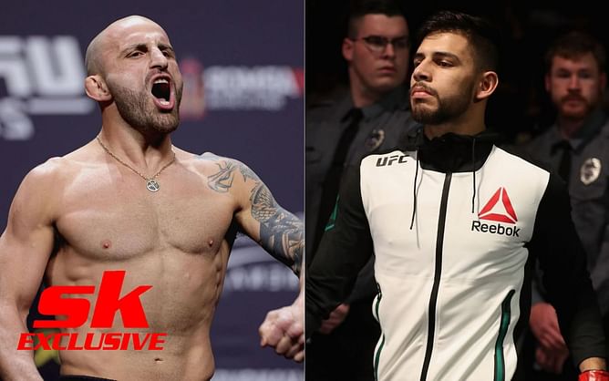 Exclusive: Alexander Volkanovski may have a tough time 'taming wildcat' Yair Rodriguez, says Nate Landwehr