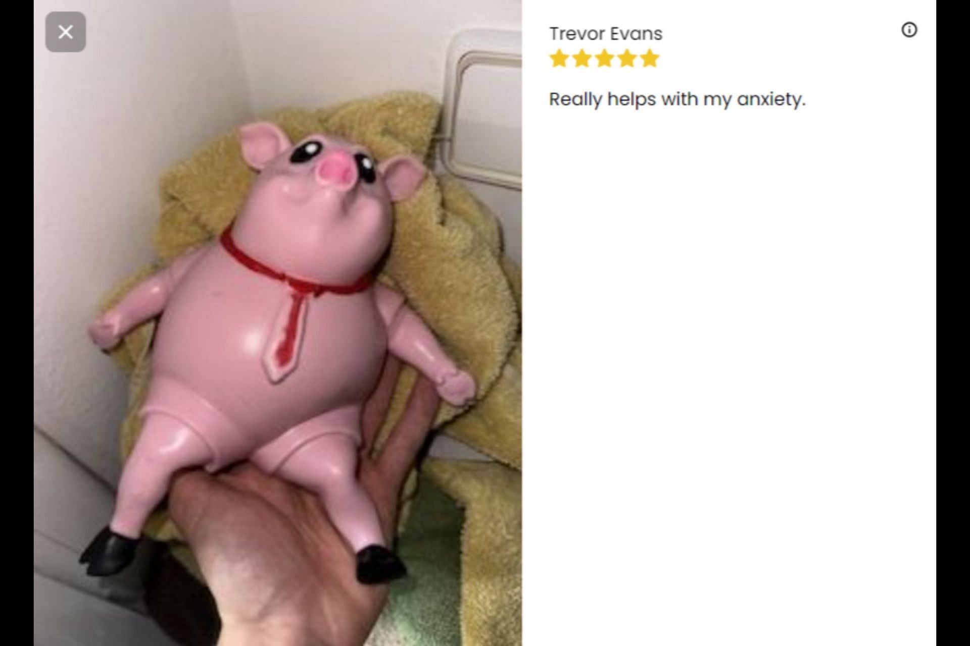 Customers review Porky Splash&#039;s viral Piggy Squeeze Toy. (Image via Porky Splash)