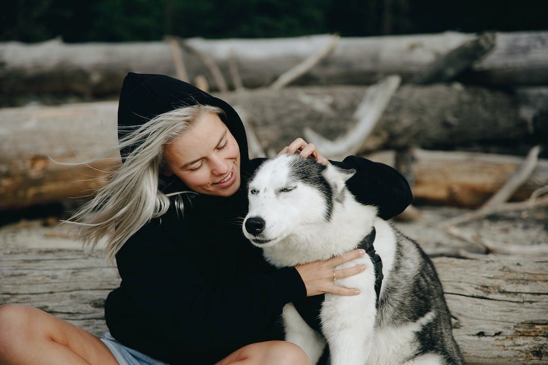 During puppy-assisted relaxation sessions, participants center their attention on restorative yoga poses and deep breathing techniques. (PNW Production/ Pexels)