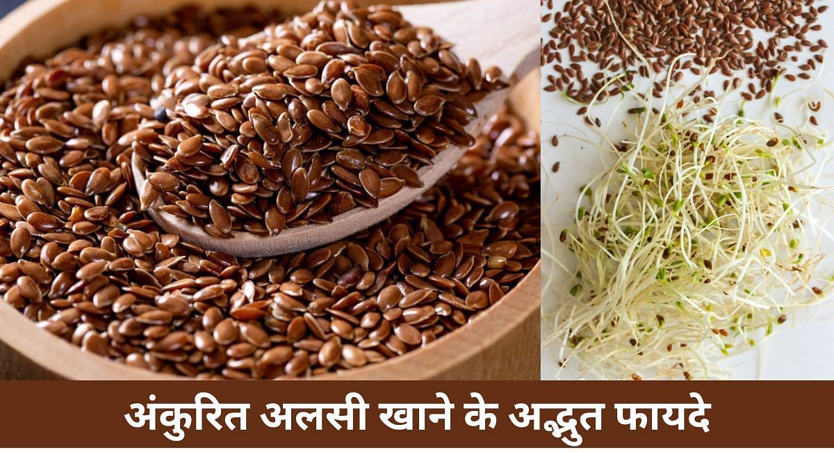 अंकुरित अलसी खाने के अद्भुत फायदे(फोटो-Sportskeeda hindi)