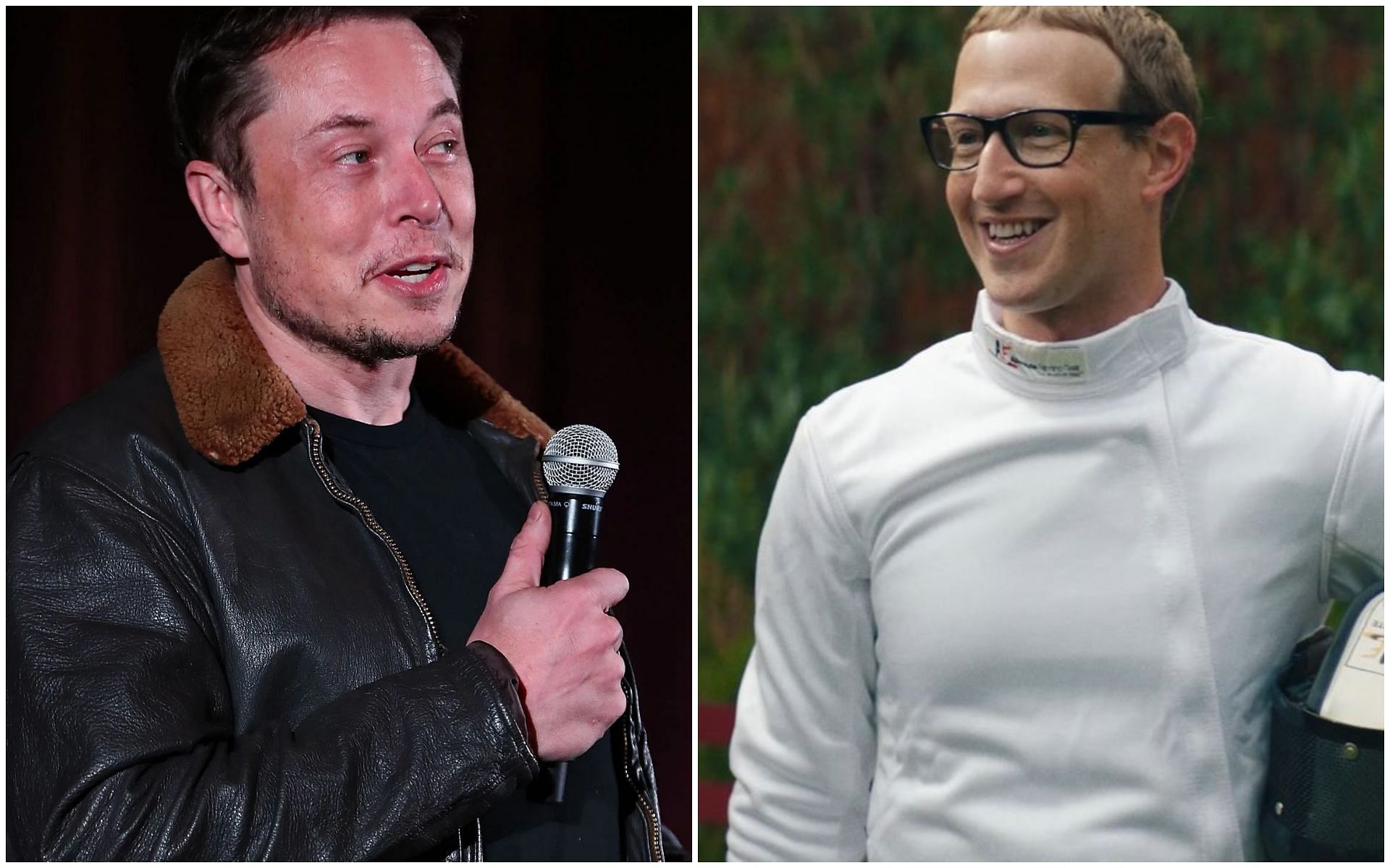 Elon Musk vs Mark Zuckerberg potential fight odds