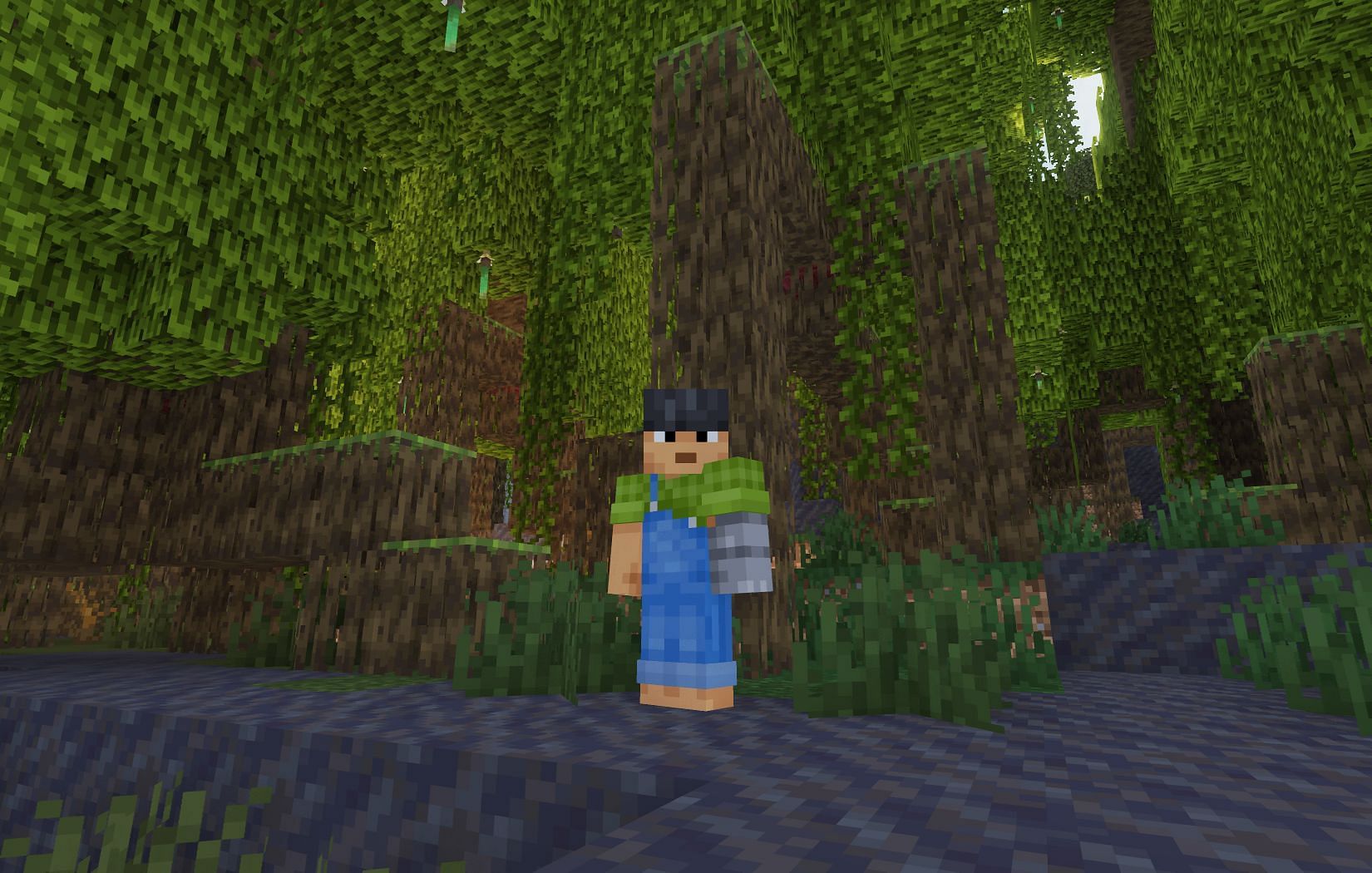 Unique Mangrove trees (Image via Mojang)