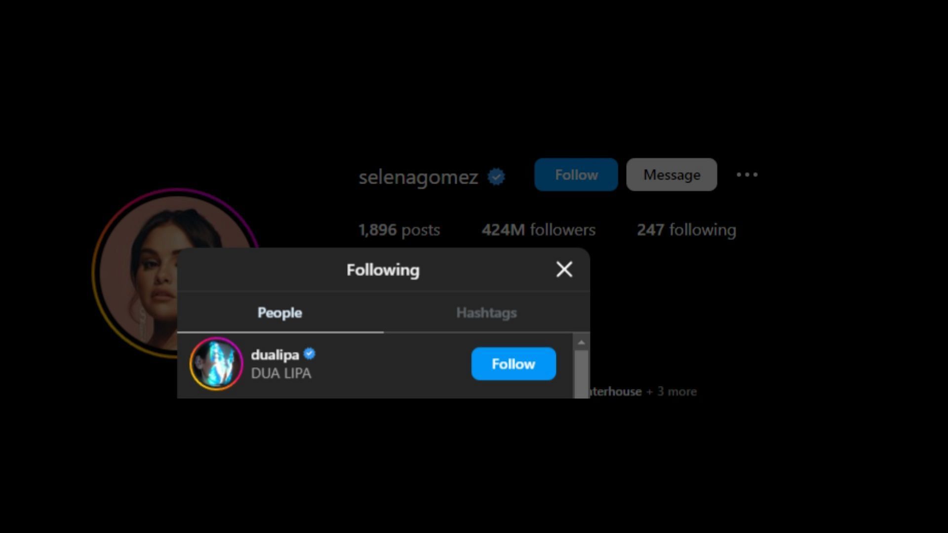 Screenshot of Selena Gomez&#039;s following list on Instagram. (Photo via @SelenaGomez/Instagram)