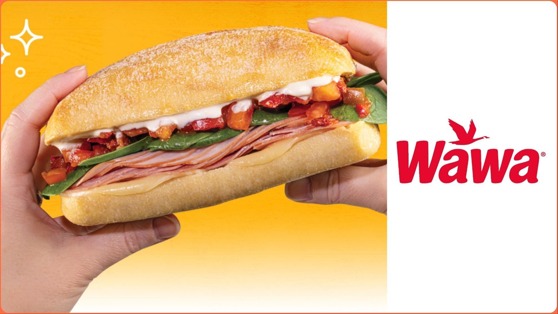 Wawa introduces new all-day-long Ciabatta Sandwich line-up (Image via Wawa)