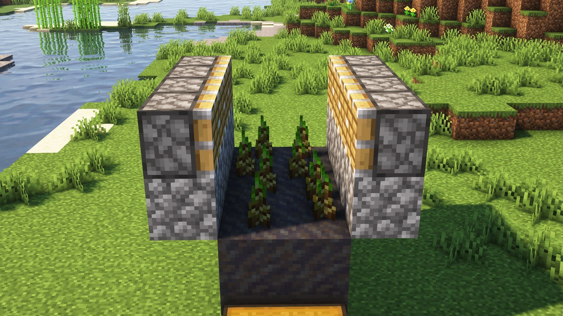 Pistons will prevent excess growth by breaking the bamboo (Image via Mojang)