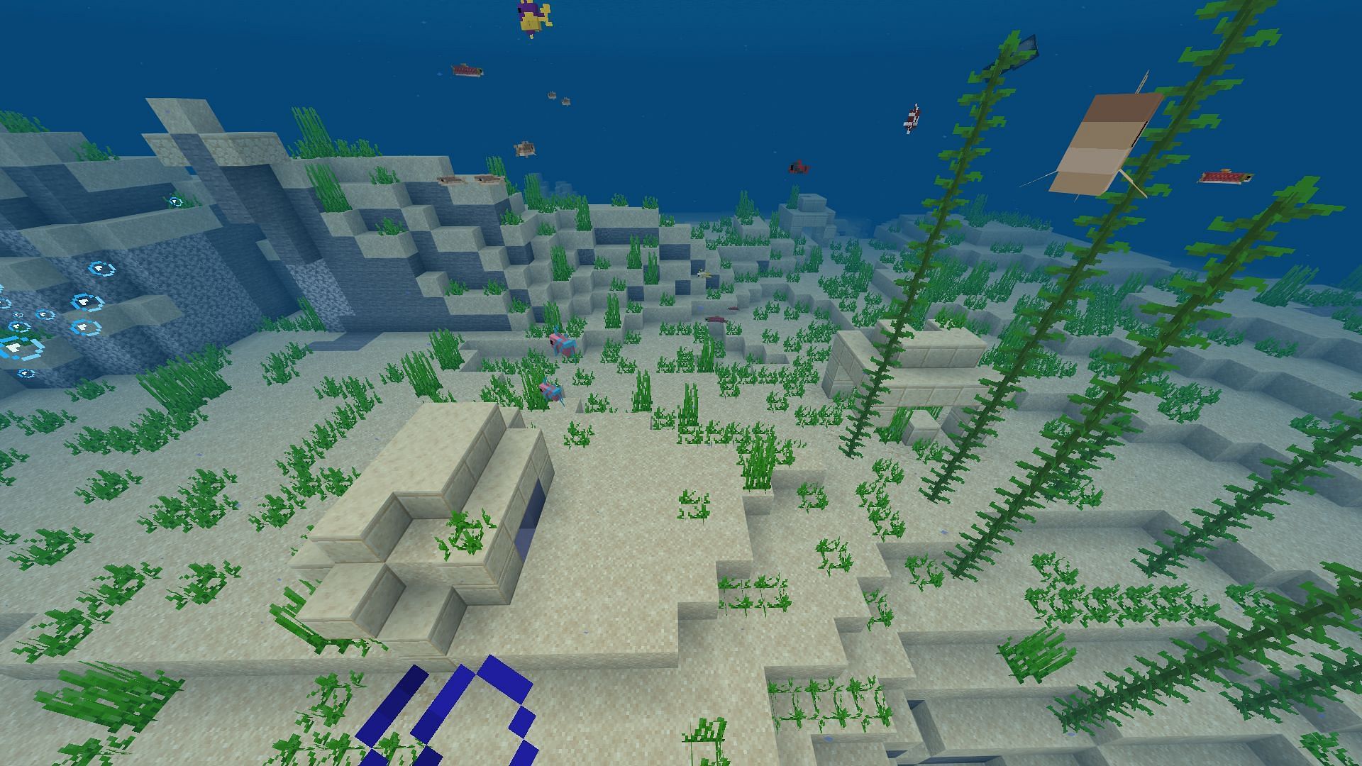 Ocean ruins abound in this Minecraft Bedrock seed, both warm and cold in temperature (Image via Mojang)