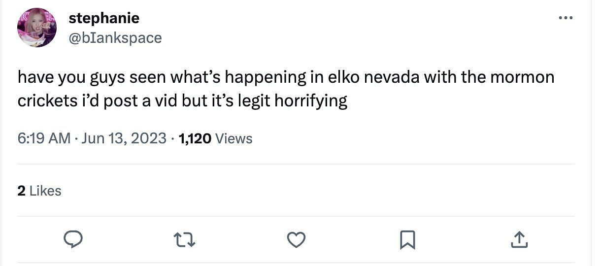 Social media users share hilarious and disgusted reactions as small insects take over the state of Nevada, US. (Image via Twitter)