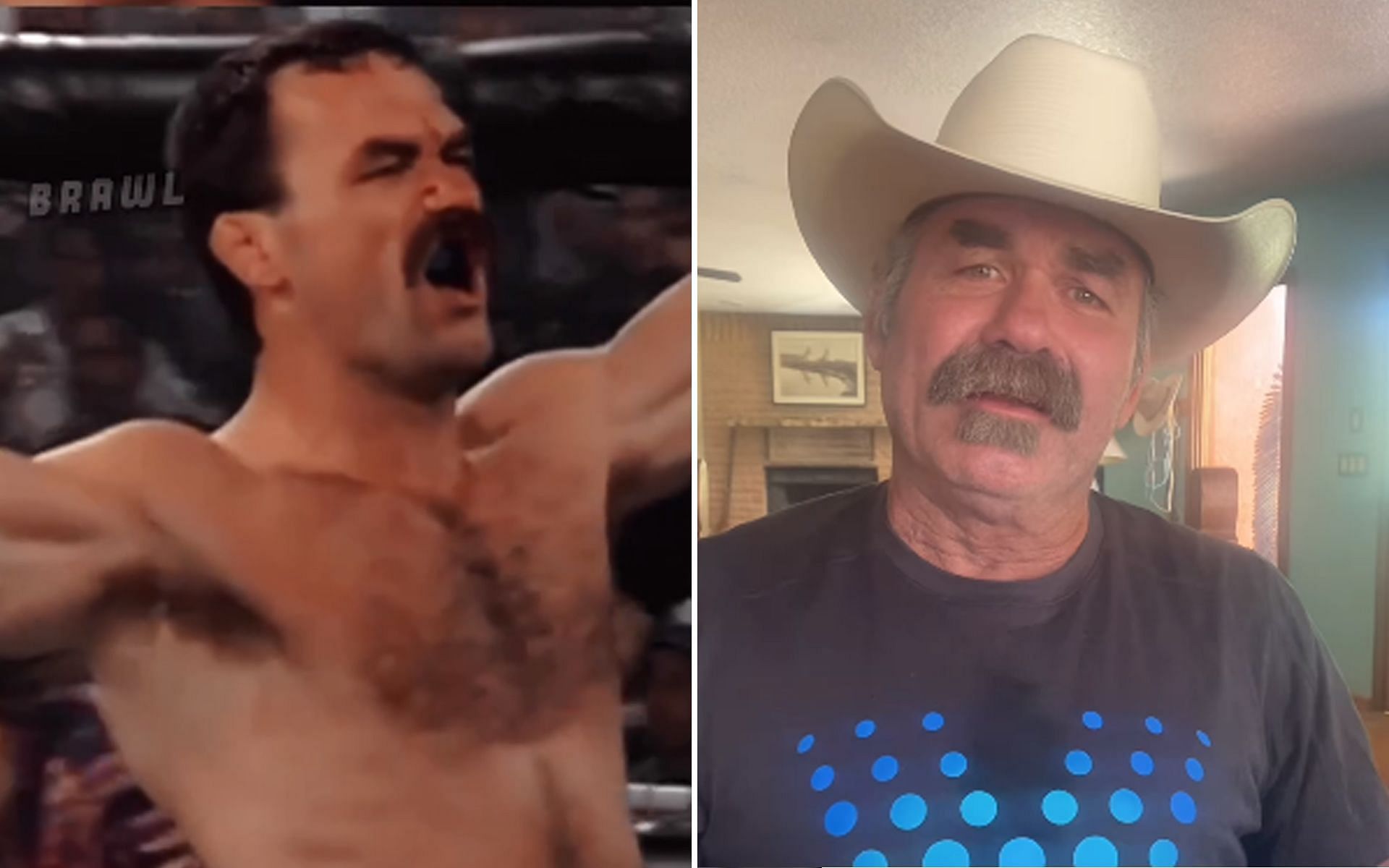 Figurine d'action Don Frye