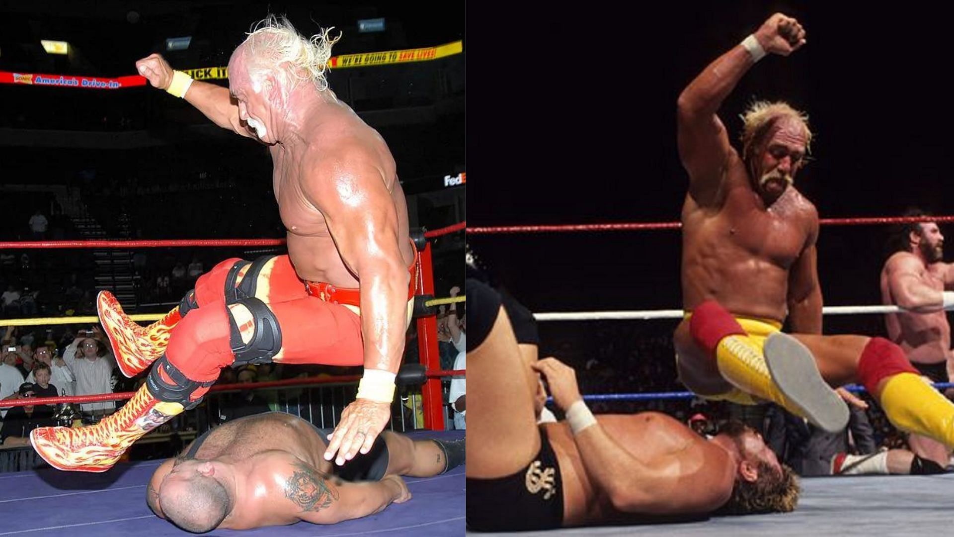Hogan mainly used his legs for his wrestling finisher, leg drop