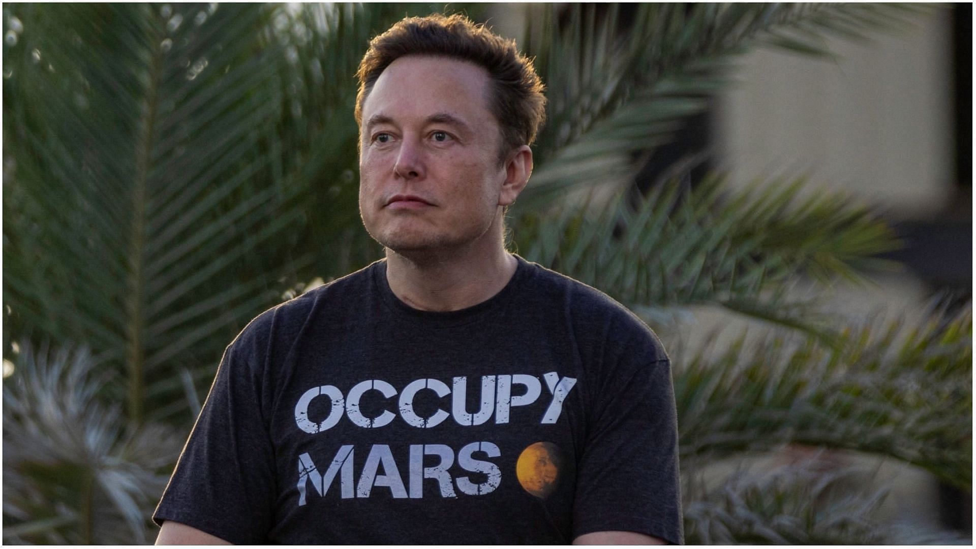 Elon Musk  bans gender-inclusive words on twitter (Image via Michael Gonzalez/Getty Images)