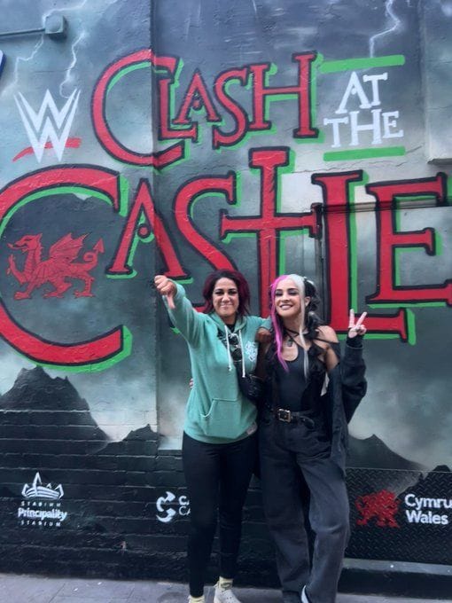 Currently injured WWE Superstar sends heartfelt birthday wishes to Bayley