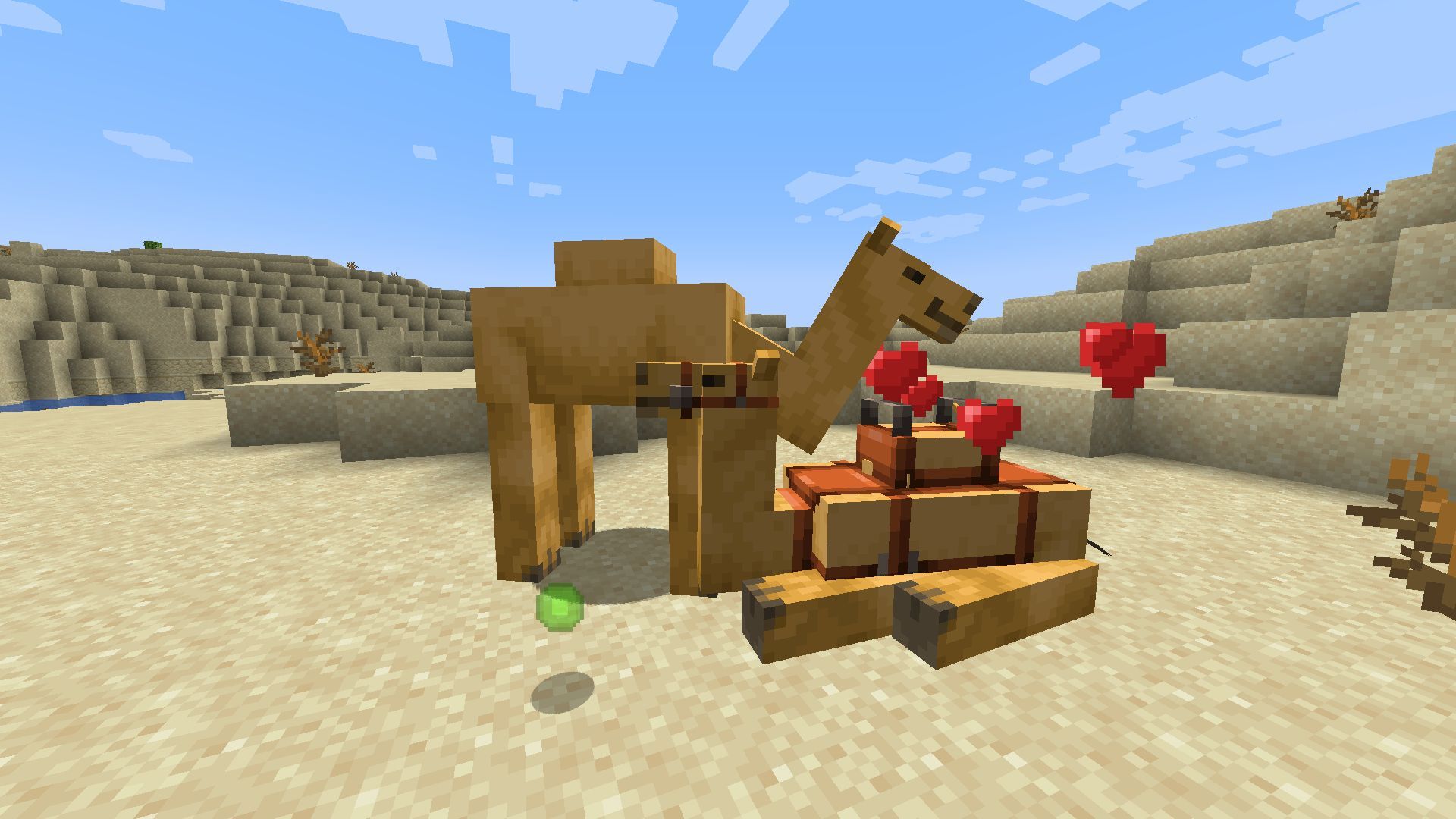 Where do camels spawn in Minecraft 1.20 update?