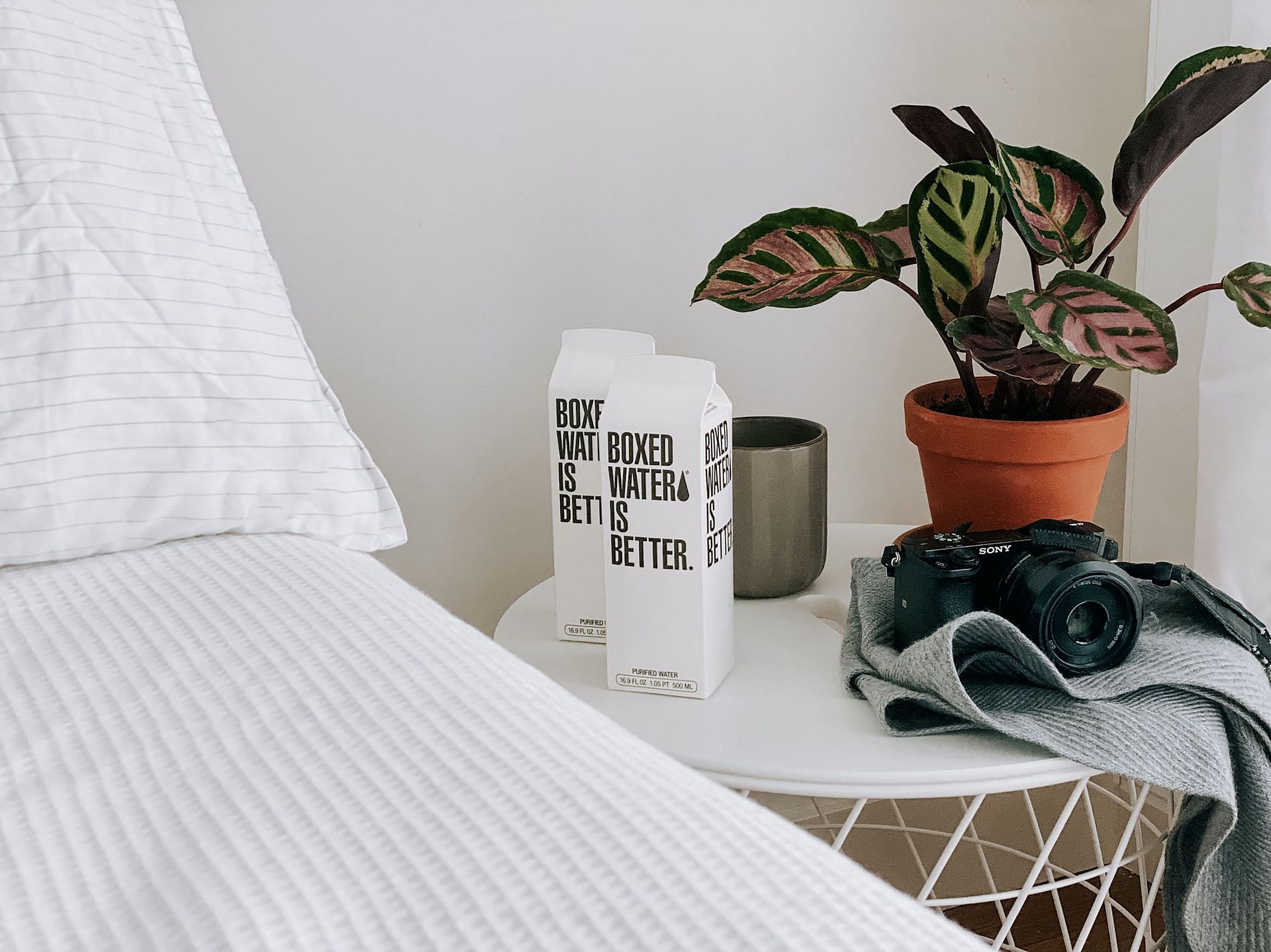 Keep yourself hydrated. (Image via Unsplash/Boxed Water is Better)