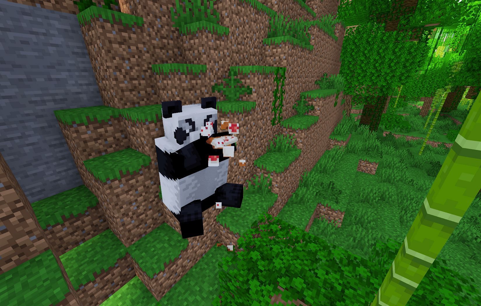 Pandas eating cake (Image via Mojang)