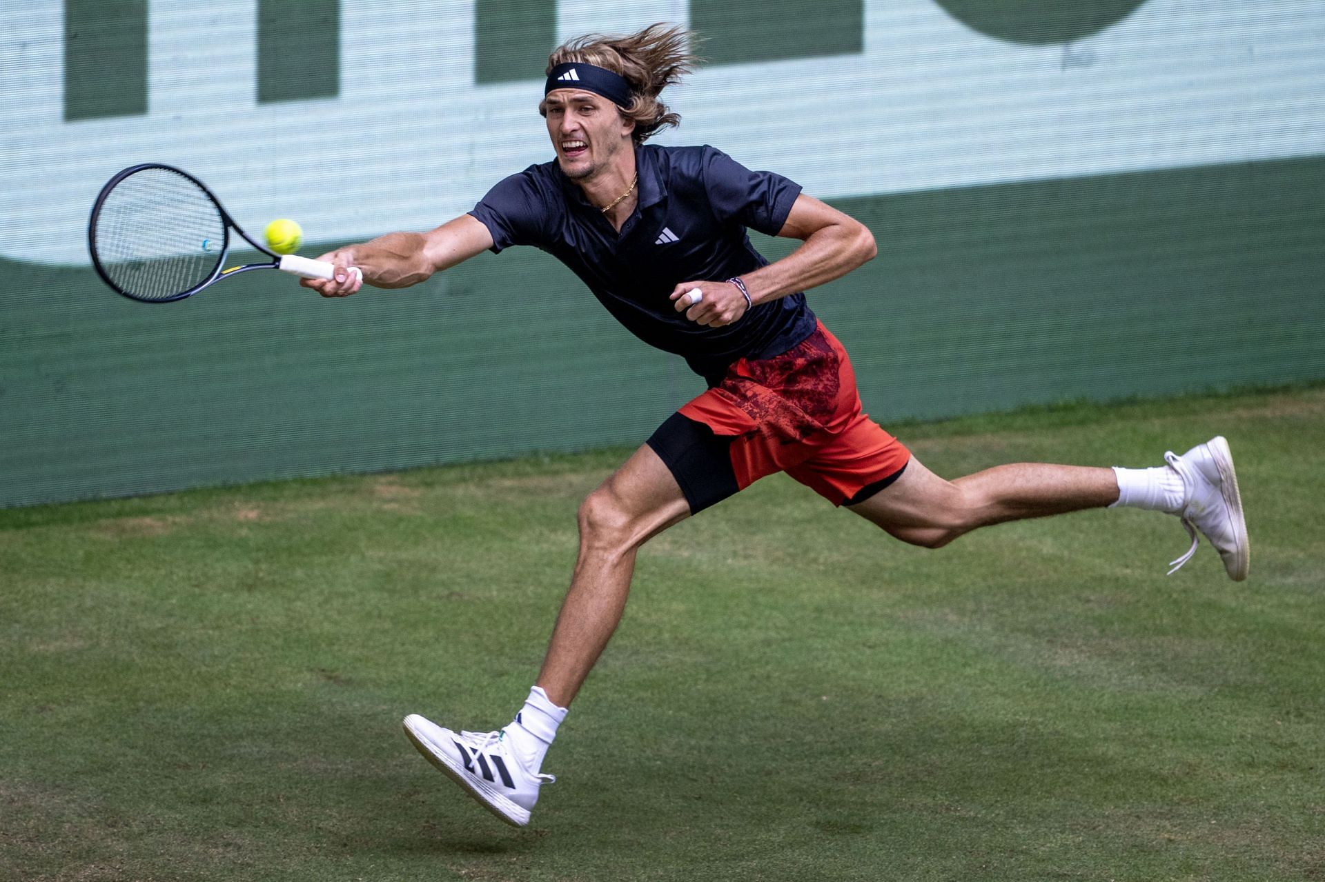 Zverev is into the last four in Halle.