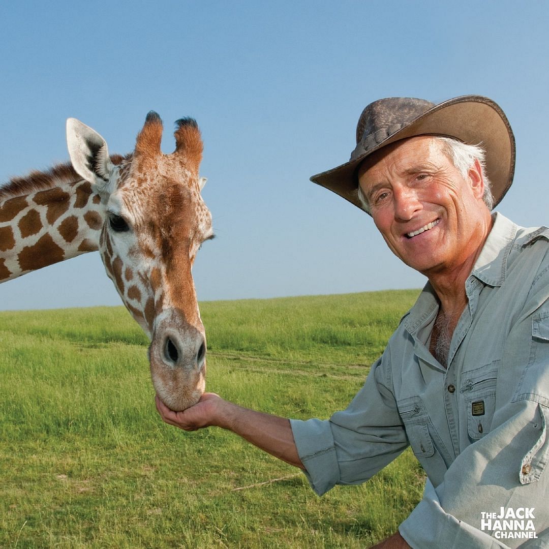 Jack Hanna is an American zoologist (Image via Instagram/thejackhannachannel)