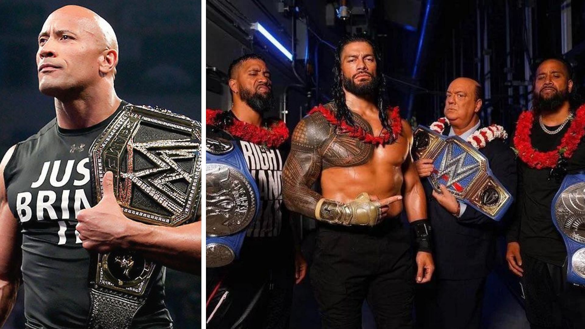 WWE Roman Reigns Anoai Family Tree  Legacy Explained  USA Insider