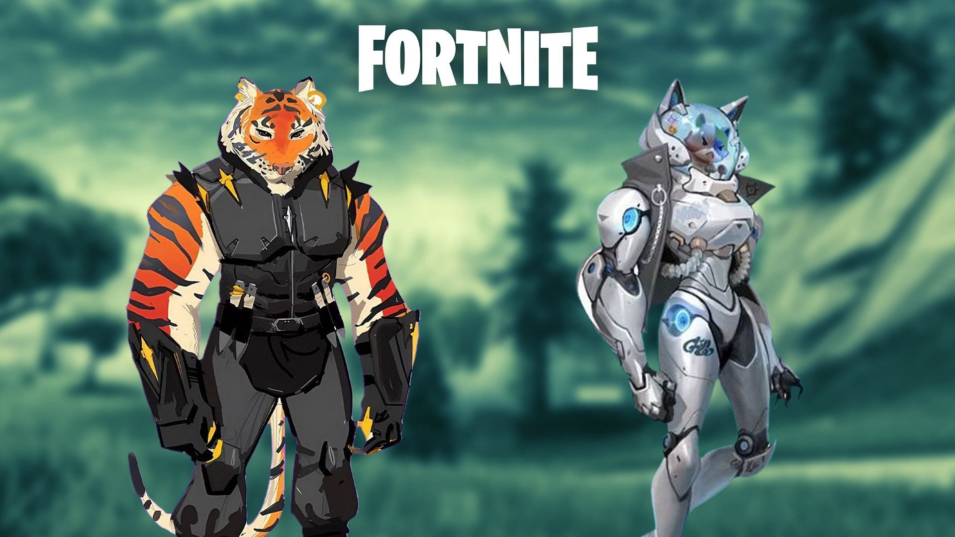 Roblox Fortnite Skins Showcase! 