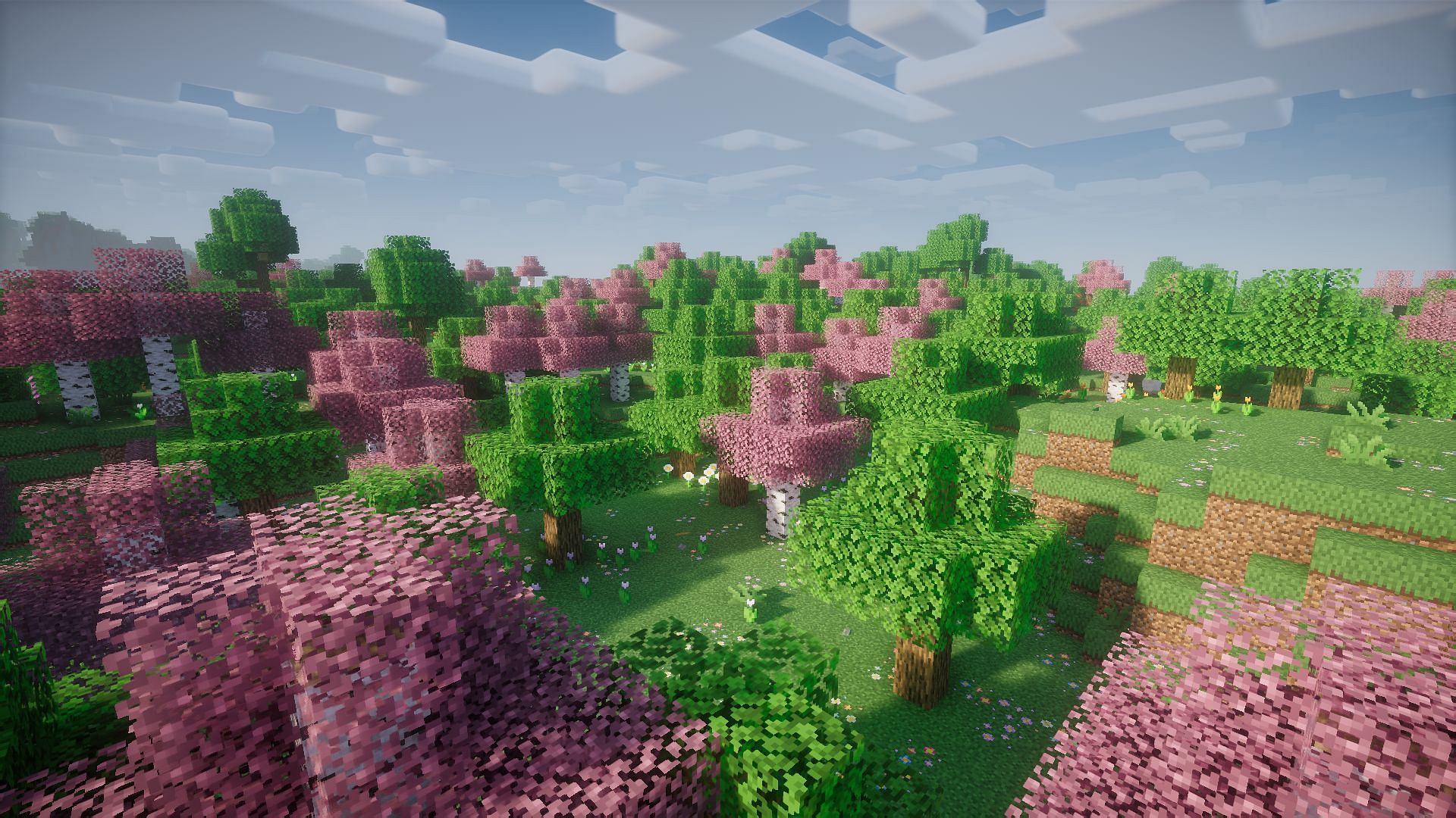 Make your biomes look better than ever with the Better Details Pack (Image via CurseForge)