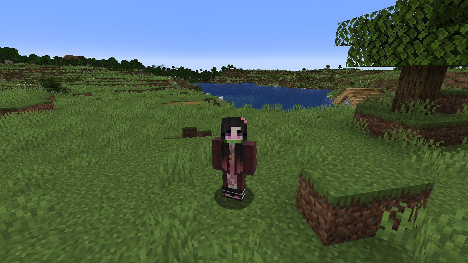 One of Demon Slayer&#039;s iconic protagonists can be envisioned when this skin is equipped (Image via Mojang)
