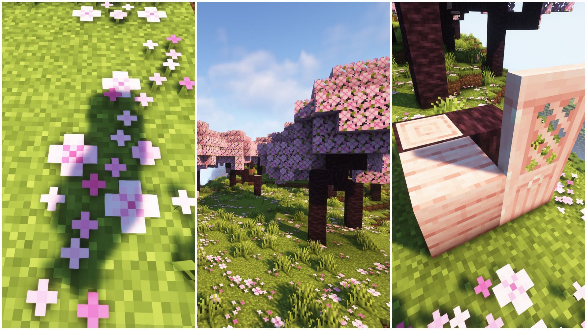Cherry Blossom is the brand new biome coming to the Minecraft 1.20 update (Image via Mojang)