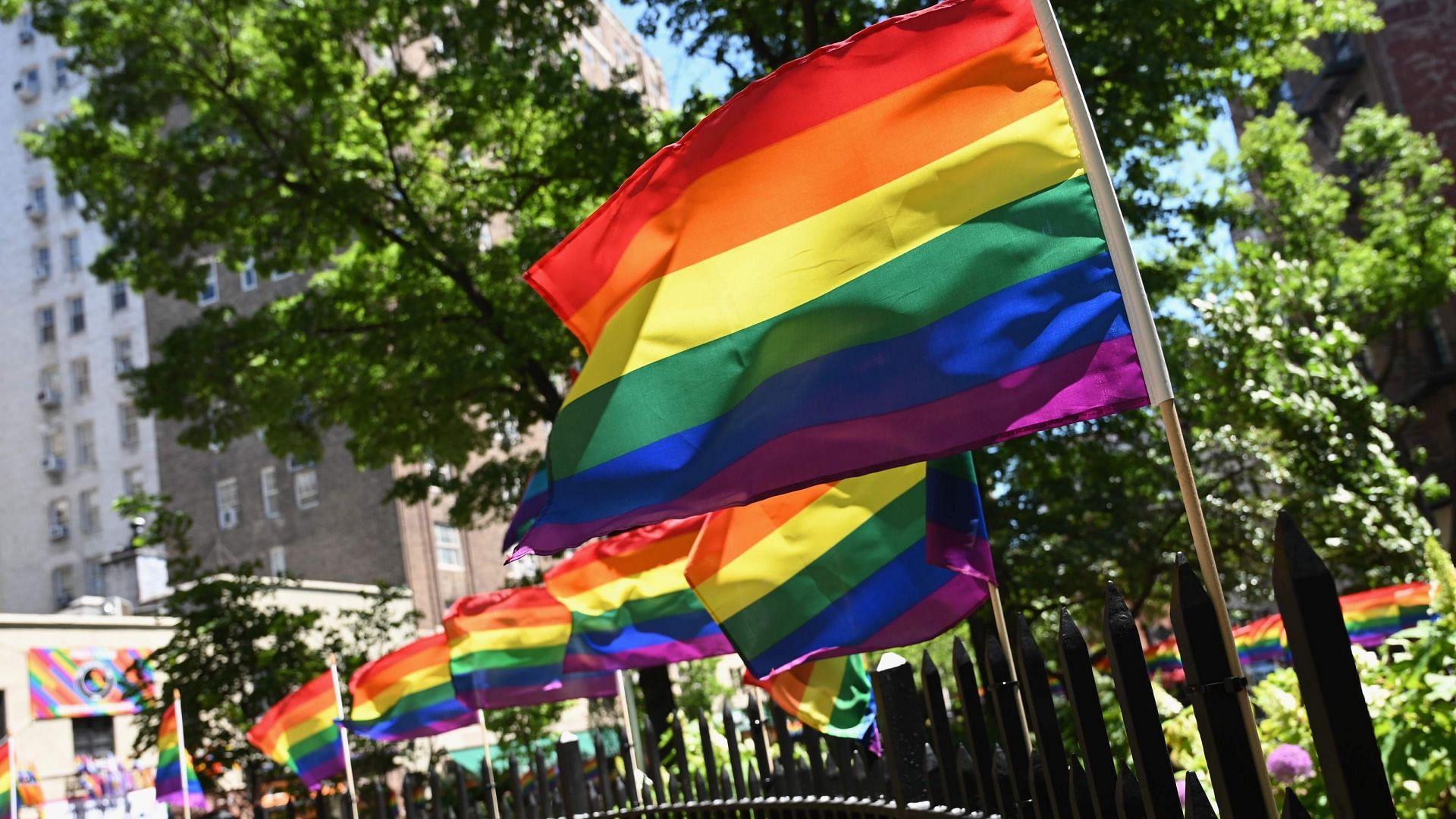 Social media users shared reactions as a city in the USA bans LGBTQ+ flags during Pride Month. (Image via Getty Images)