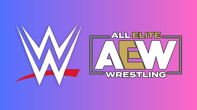Longtime WWE veteran breaks silence after AEW departure
