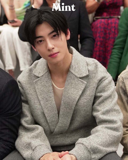 Cha Eun Woo at Dior's After-Party. Let's Clear this Up. in 2023