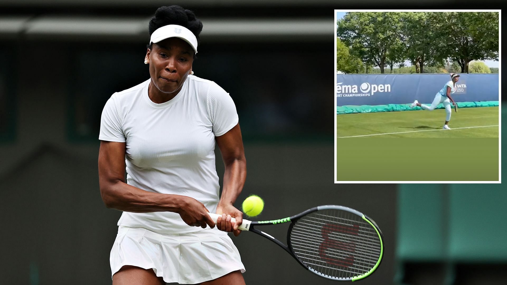 Venus Williams will compete at the 2023 Libema Open for the first time