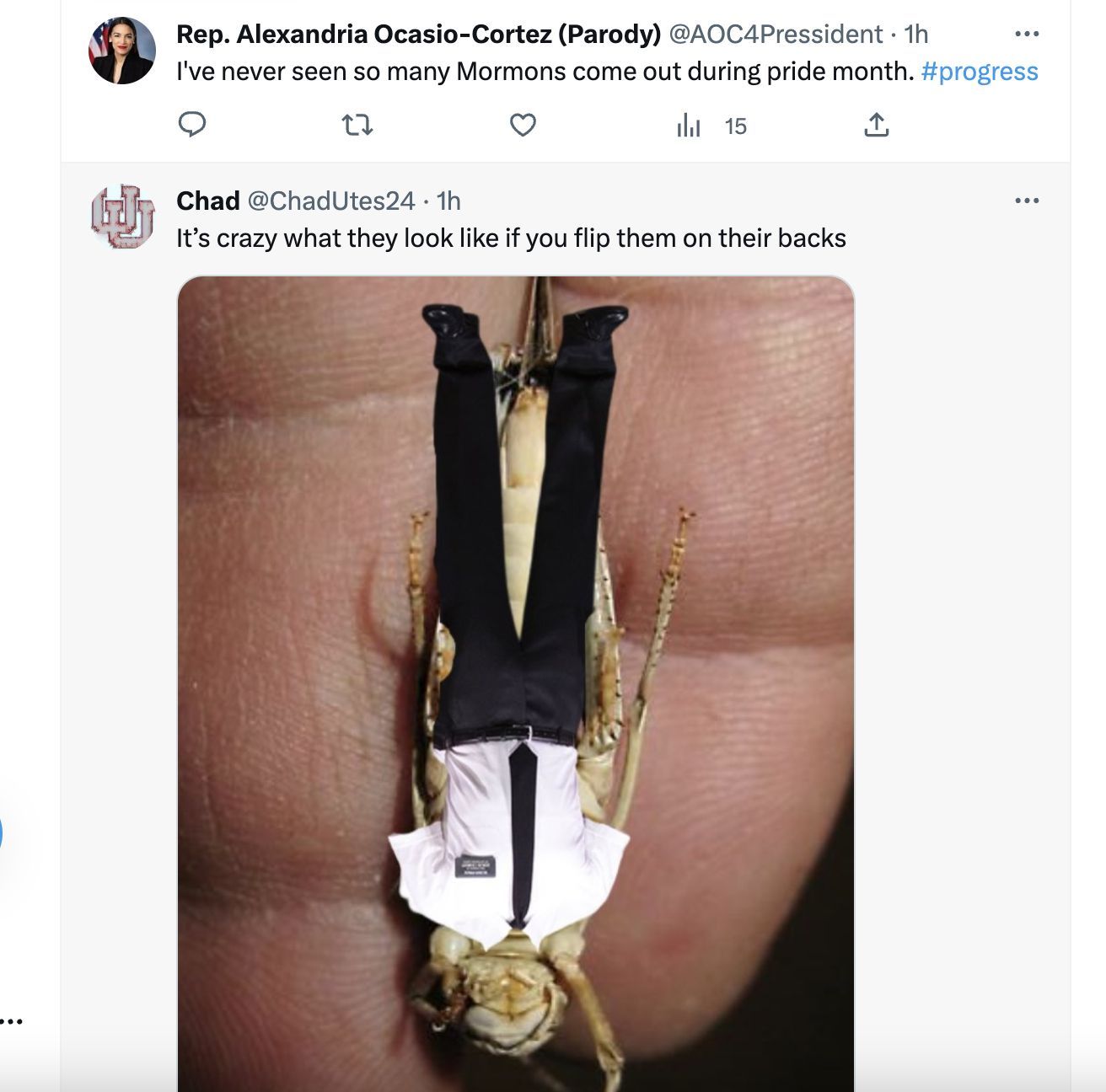 Social media users share hilarious and disgusted reactions as small insects take over the state of Nevada, US. (Image via Twitter)