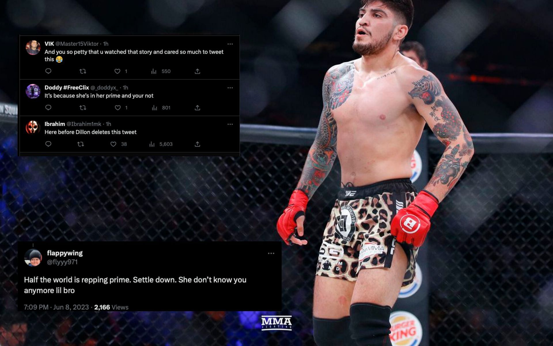 Dillon Danis calls out ex-girlfriend for being petty (Image courtesy - MMA Fighting)