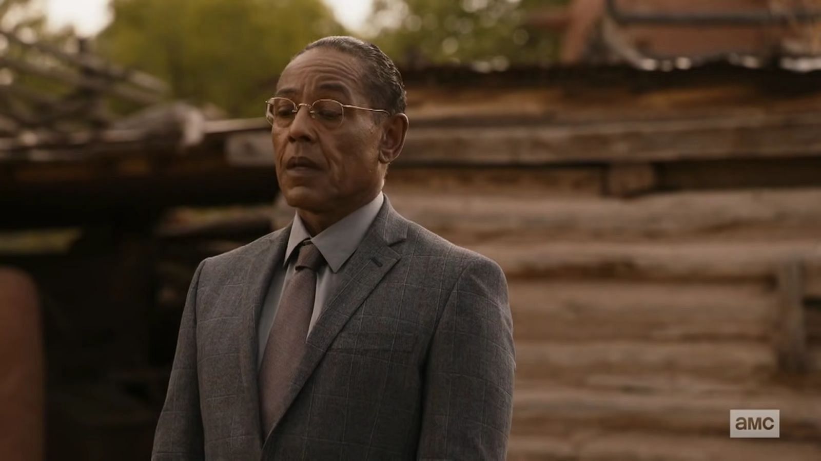 Does Gus Fring appear in Better Call Saul?