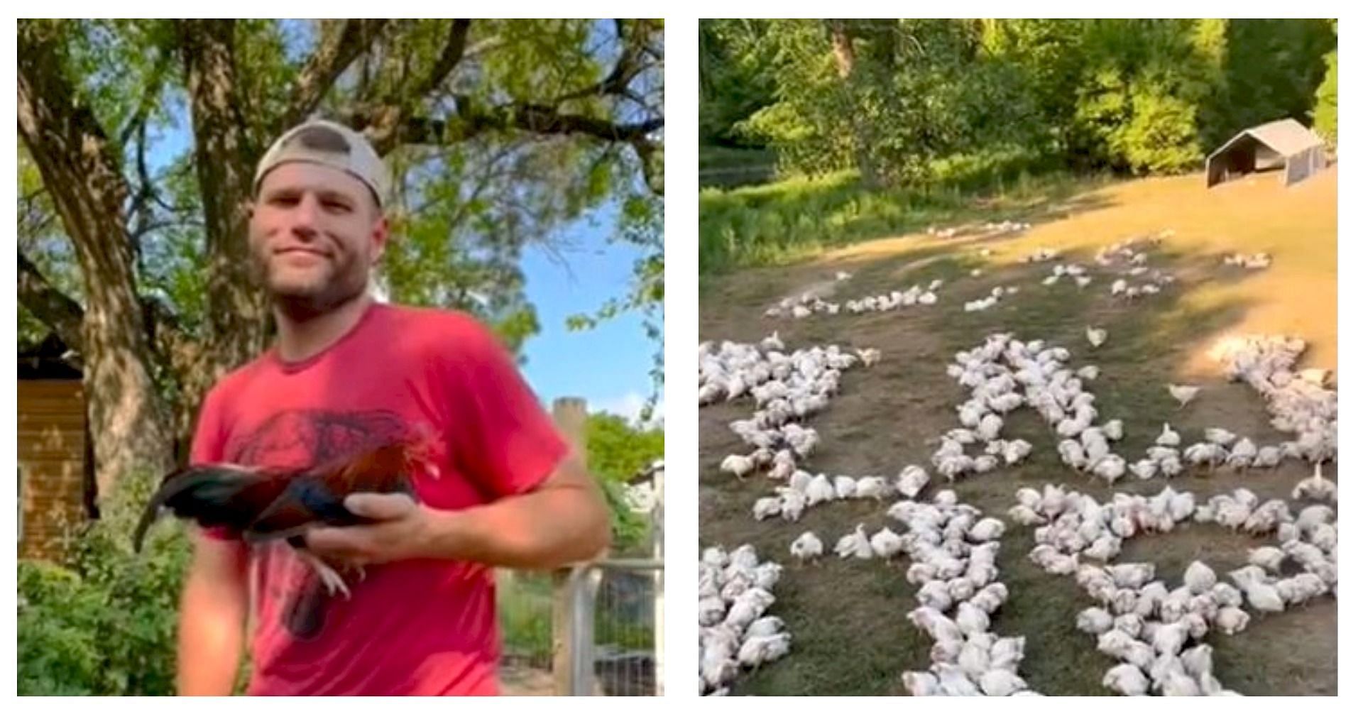 Origin of TikTok's Great Chicken War explained as viral trend sends the