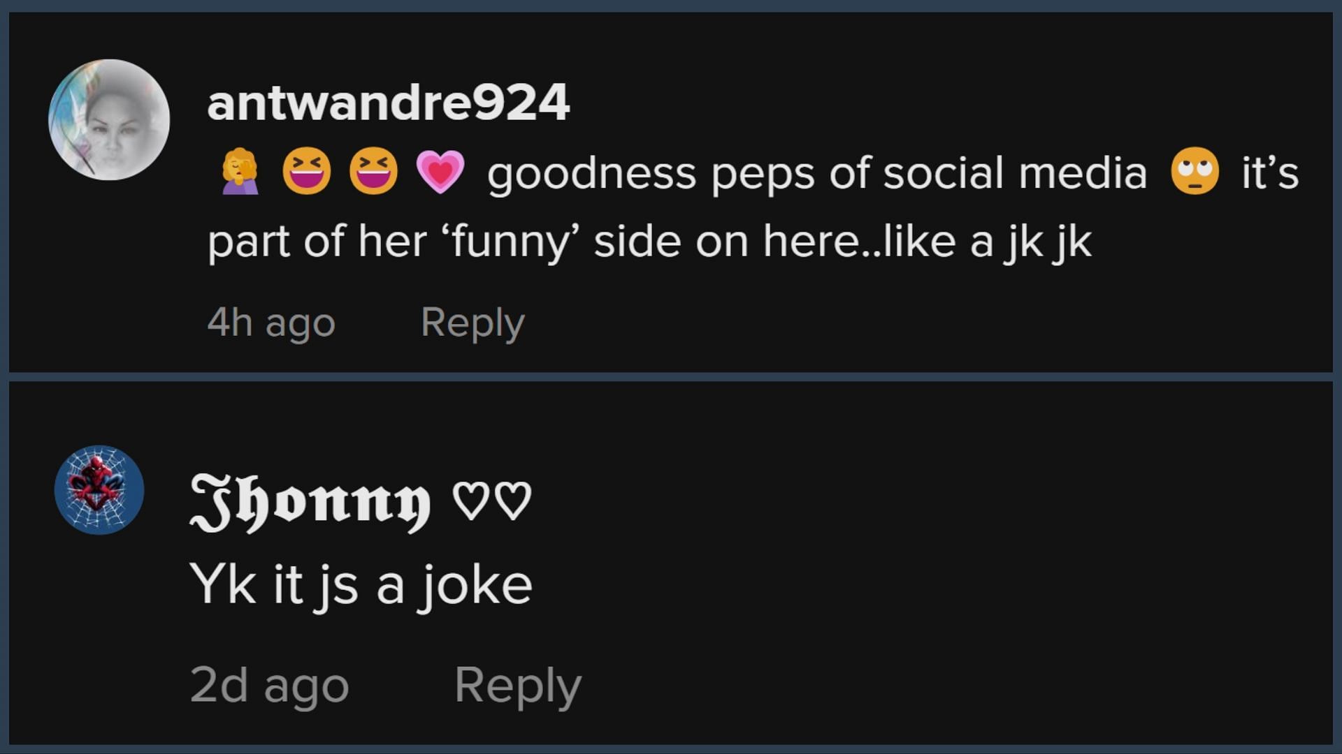 Fans claimed that the video was just for jokes (Image via TikTok/@jenniferngo)