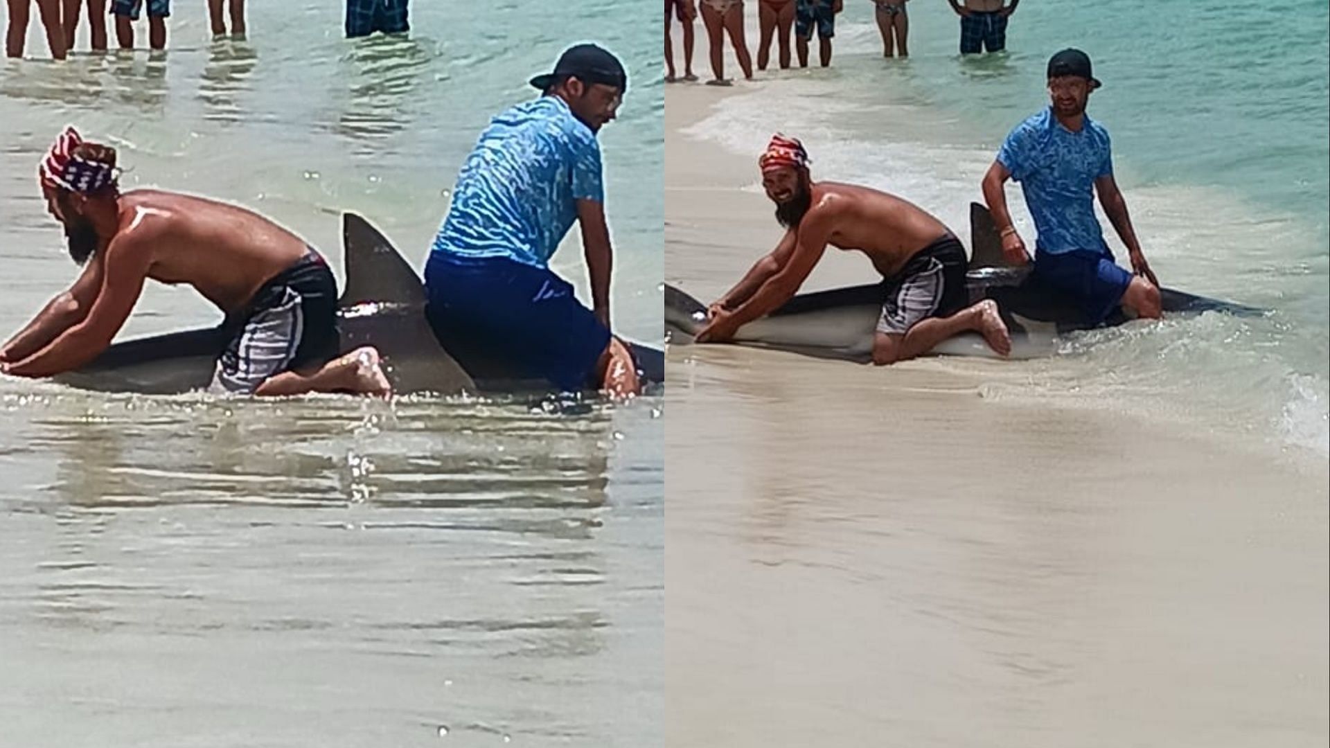 Viral shark video at the Panama City Beach leaves netizens enraged. (Image via Facebook/Tammy Scott)