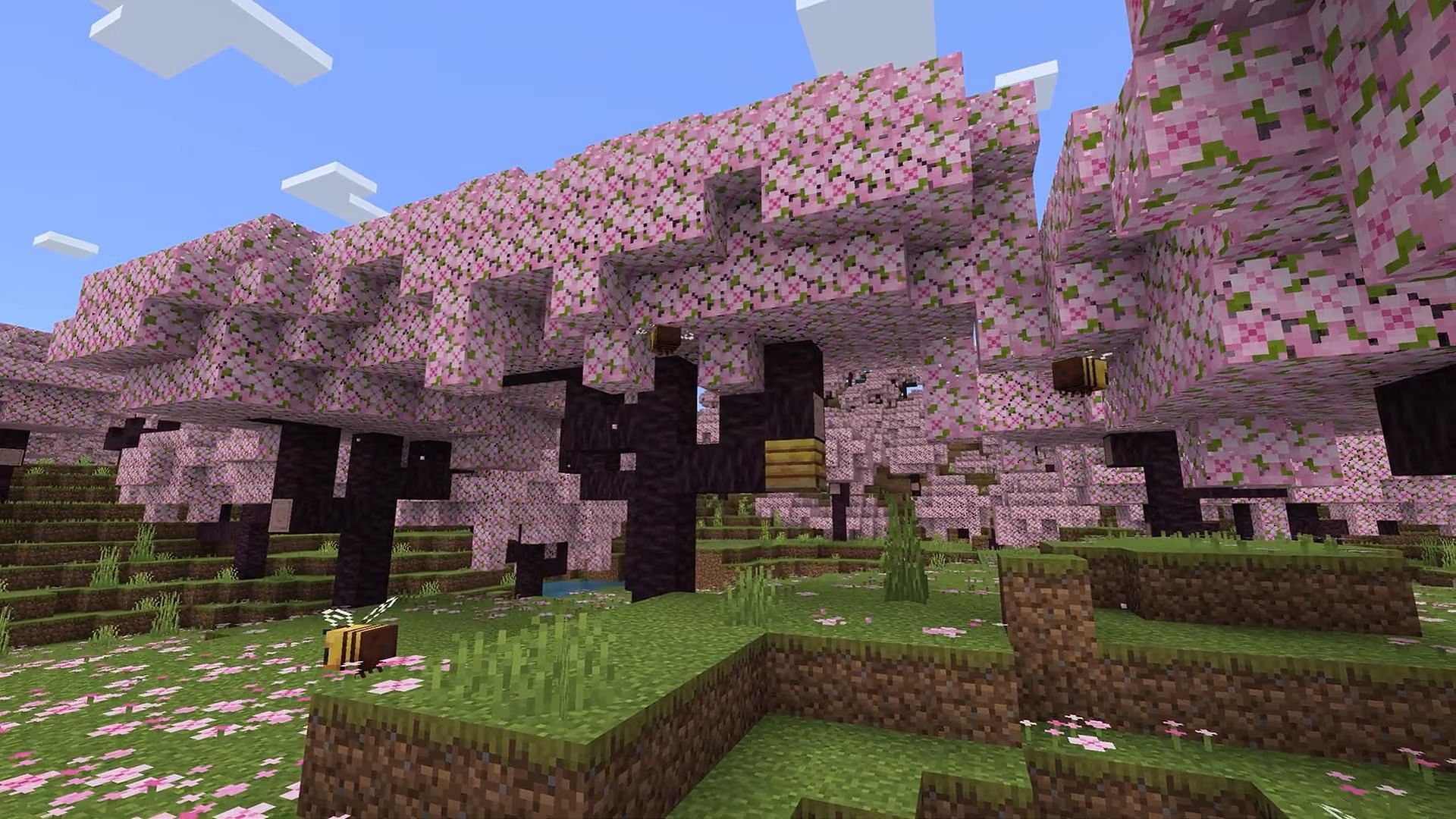 New Cherry Blossom Biome (Image via Mojang Studios)