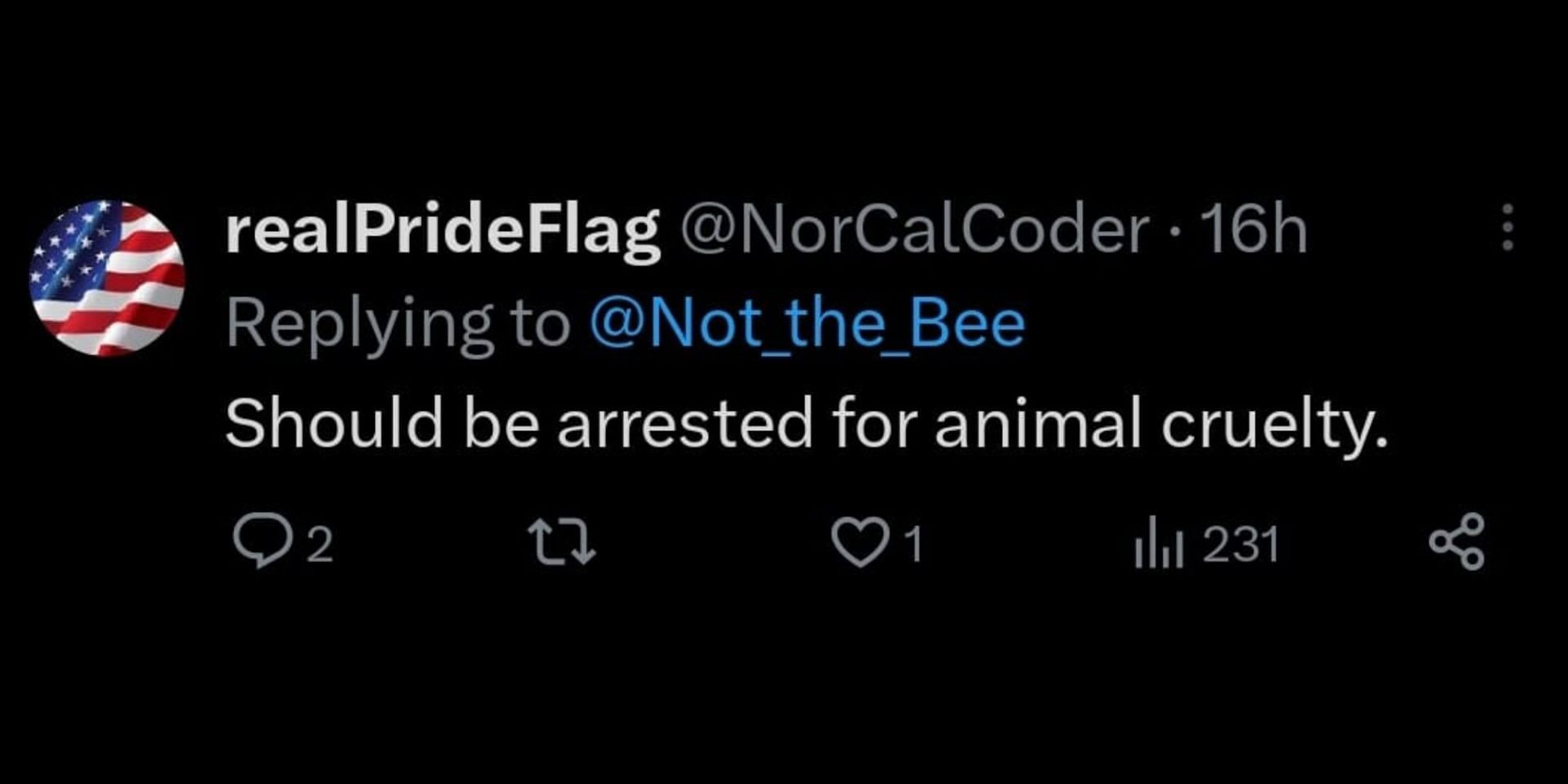 User accuses the men in the Panama City beach video of animal cruelty. (Image via Twitter/Not the Bee)