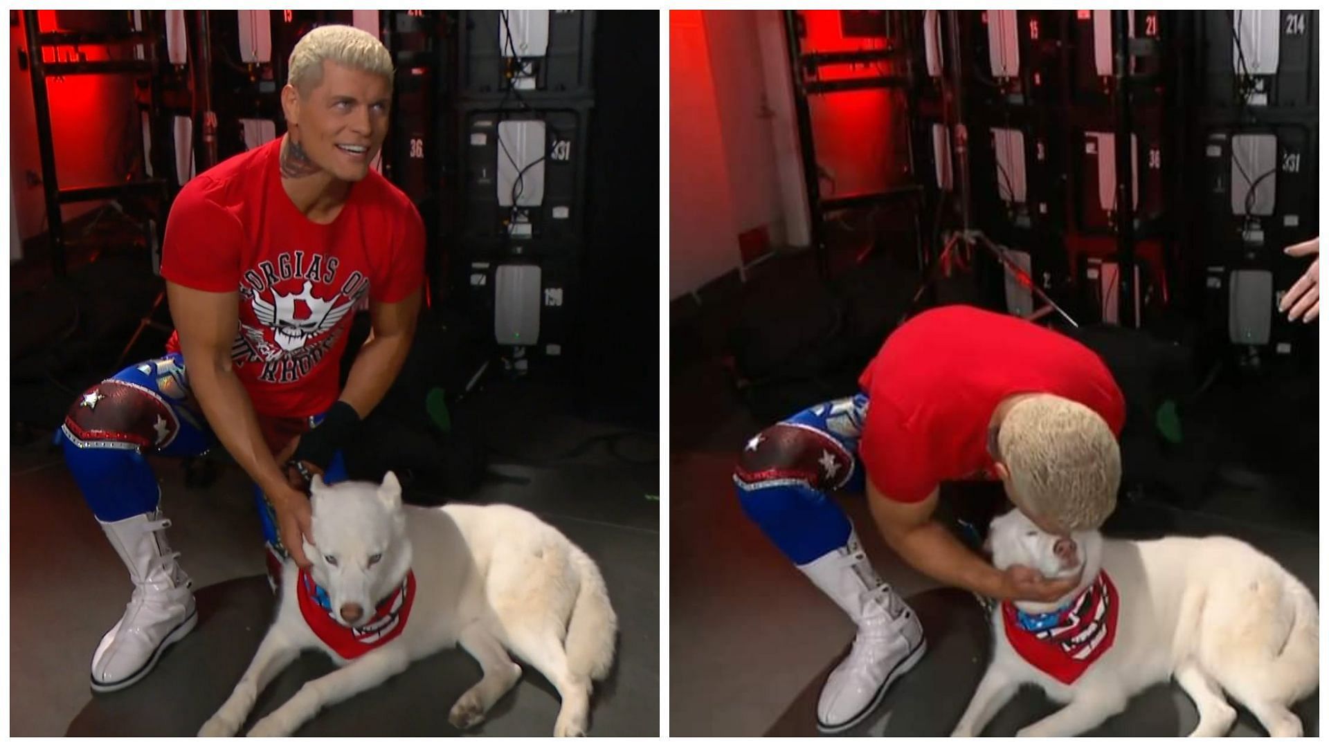 Cody Rhodes with his dog in backstage segment on WWE RAW.