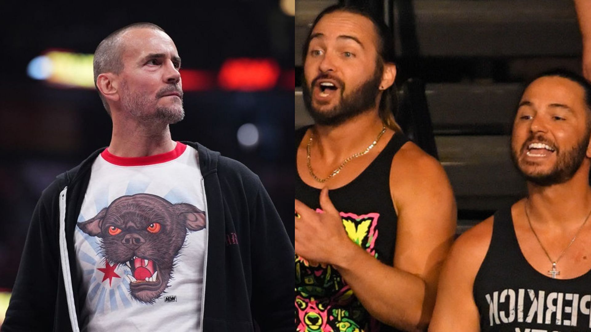 CM Punk(left); The Young Bucks(right)