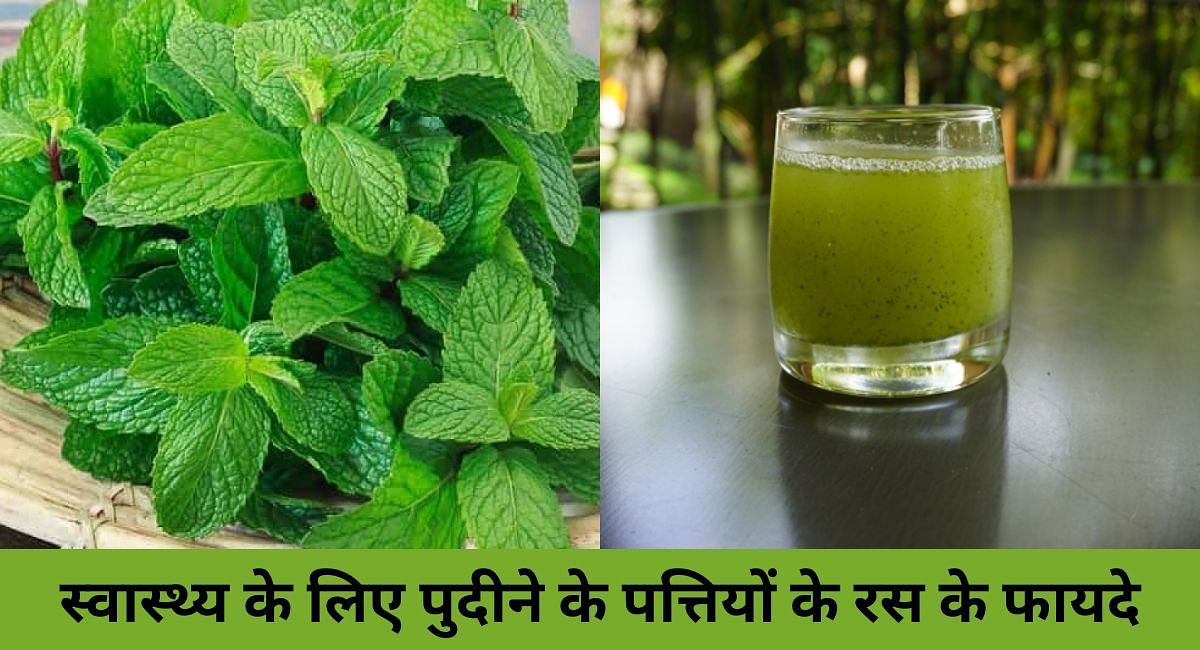 स्वास्थ्य के लिए पुदीने के पत्तियों के रस के फायदे(फोटो-Sportskeeda hindi)